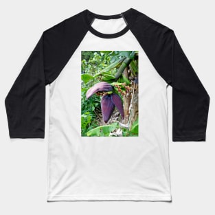 Iao Valley State Monument Study 7 Baseball T-Shirt